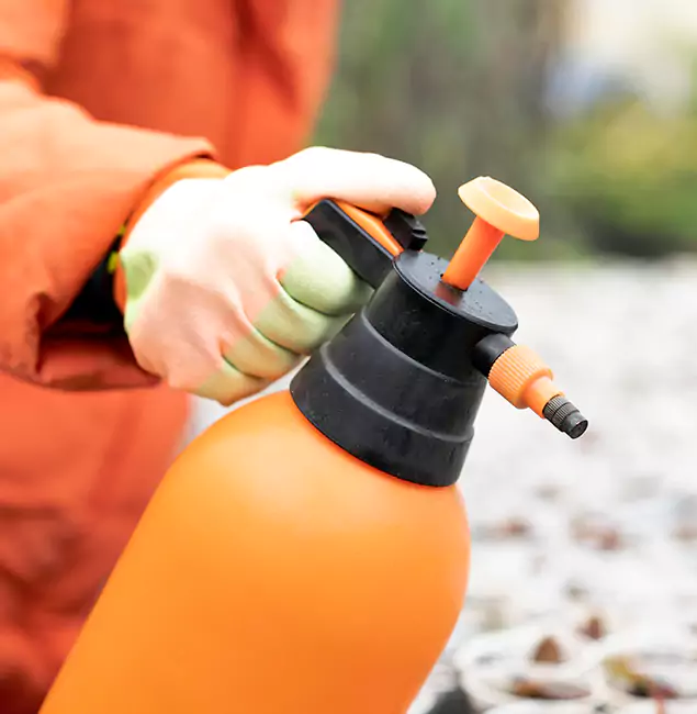 Why Choose Centreville Pest Control Pro for Orange Termite Treatment in Centreville, VA?