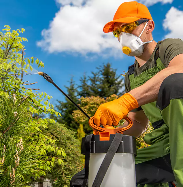Why Choose Centreville Pest Control Pro for Outdoor Pest Control in Centreville, VA?