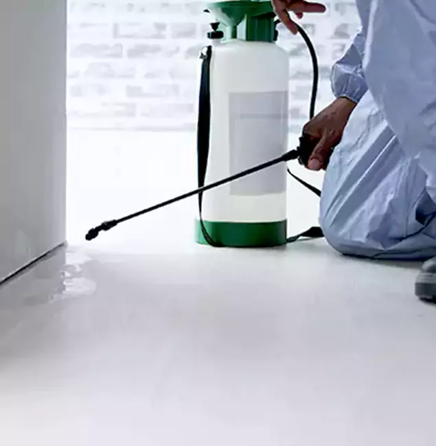 Why Choose Centreville Pest Control Pro for Rat Exterminator in Centreville, VA?