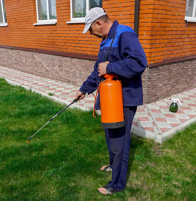 Why Choose Centreville Pest Control Pro for Residential Pest Control in Centreville, VA?