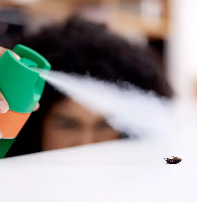 Why Centreville, VA Homeowners Choose Centreville Pest Control Pro for Roach Pest Control?