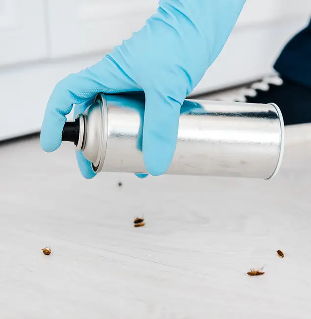 Why Choose Centreville Pest Control Pro for Safe Bed Bug Treatment in Centreville, VA?