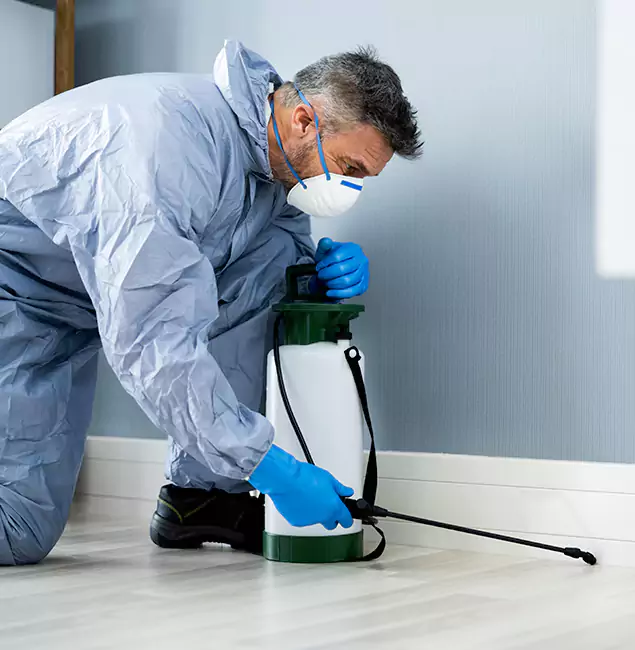 Why Choose Centreville Pest Control Pro for Subterranean Termites Treatment in Centreville, VA?