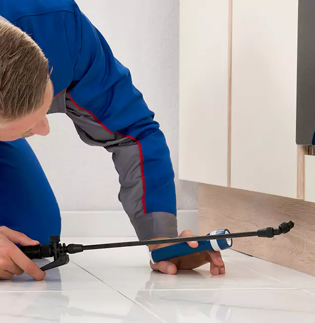 Why Centreville Residents Choose Centreville Pest Control Pro to Get Rid of Sugar Ants?