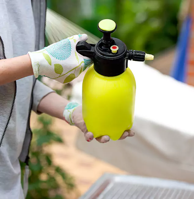 Why Choose Us: Centreville Pest Control Pro Termite Spraying Experts in Centreville, VA?