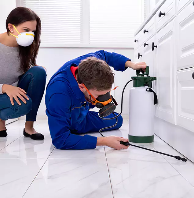 Why Choose Wood Termite Treatment by Centreville Pest Control Pro in Centreville, VA?