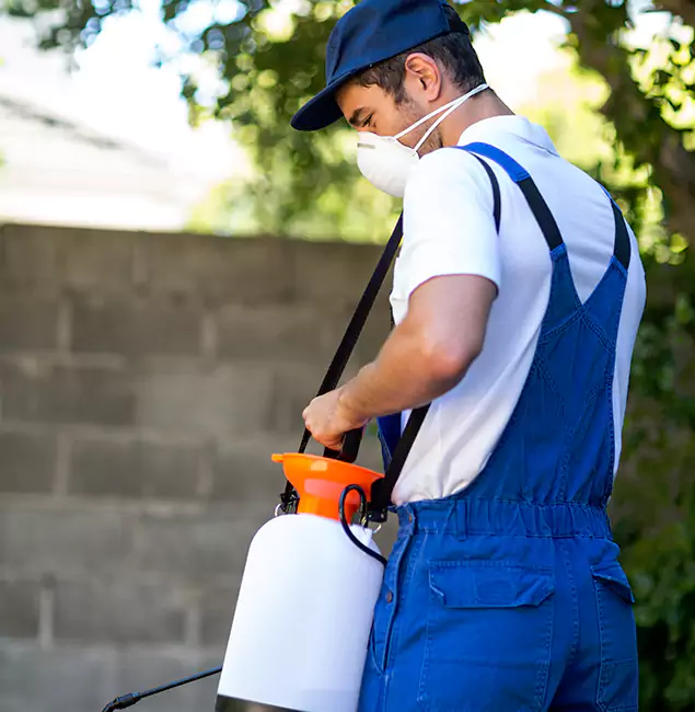 Why Centreville Pest Control Pro Is the Right Choice for Yellow Jacket Removal in Centreville, VA?
