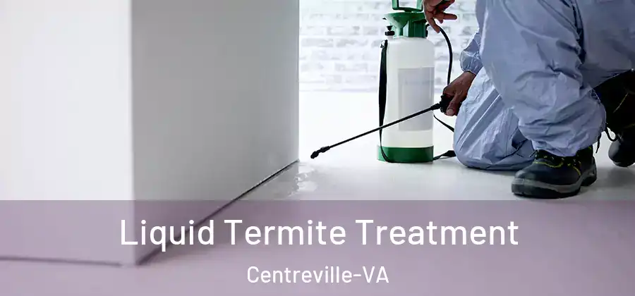  Liquid Termite Treatment Centreville-VA