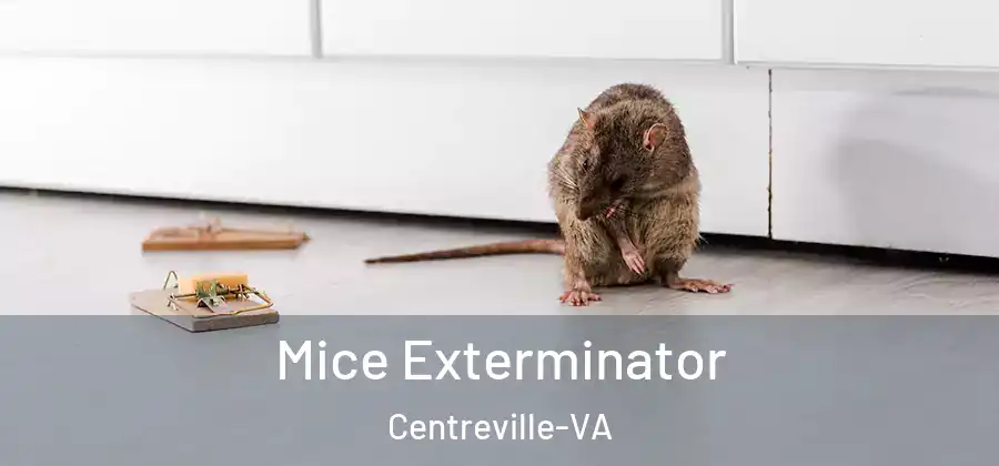  Mice Exterminator Centreville-VA