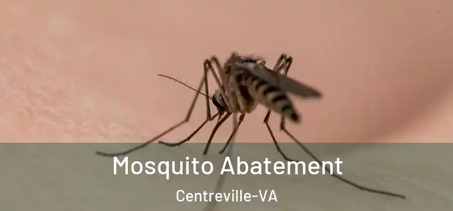  Mosquito Abatement Centreville-VA