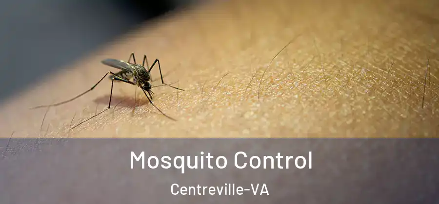  Mosquito Control Centreville-VA