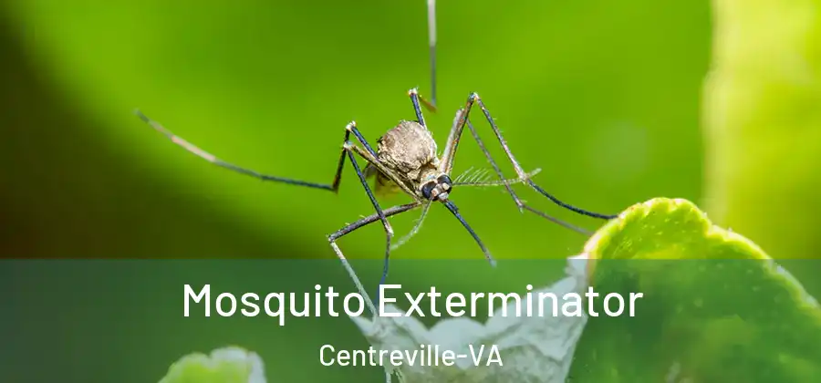  Mosquito Exterminator Centreville-VA