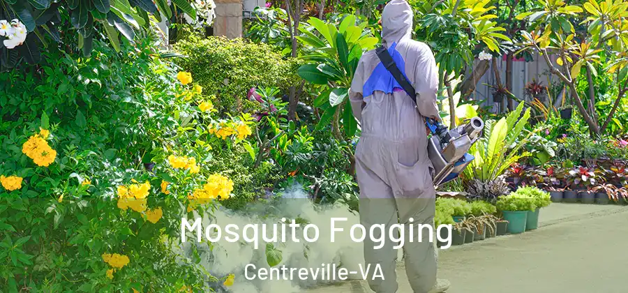  Mosquito Fogging Centreville-VA