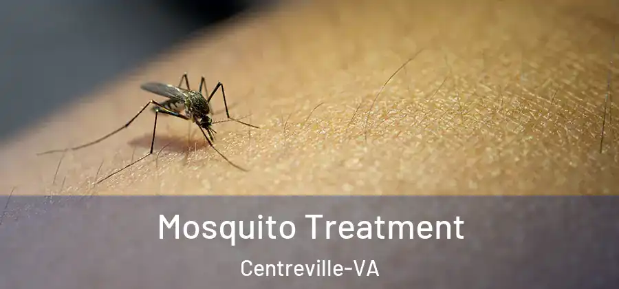 Mosquito Treatment Centreville-VA