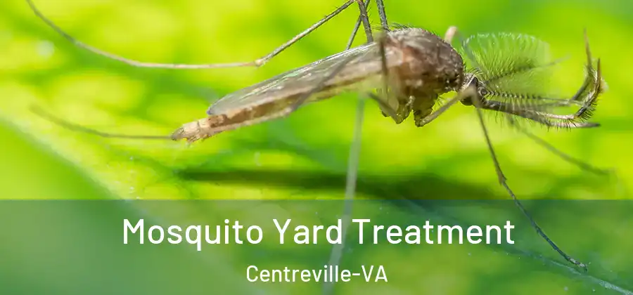 Mosquito Yard Treatment Centreville-VA