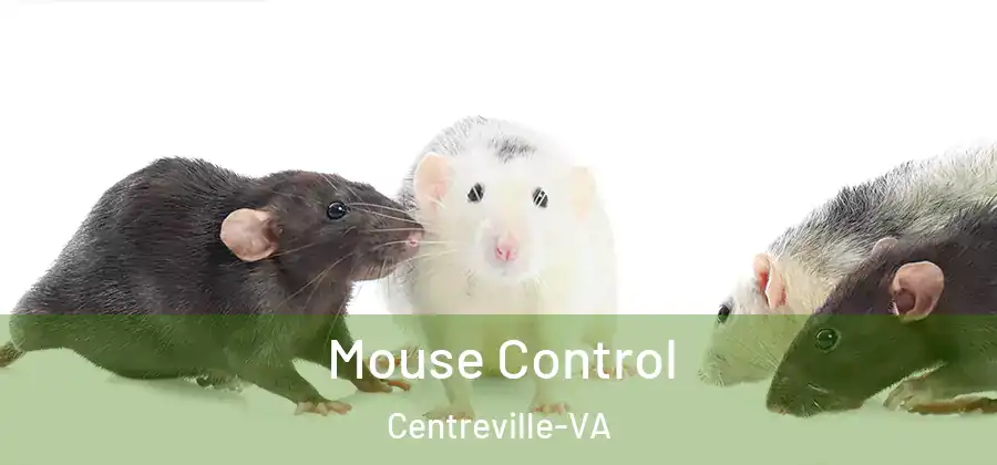  Mouse Control Centreville-VA