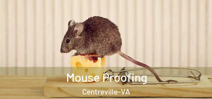  Mouse Proofing Centreville-VA