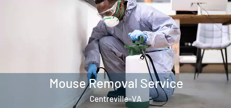  Mouse Removal Service Centreville-VA