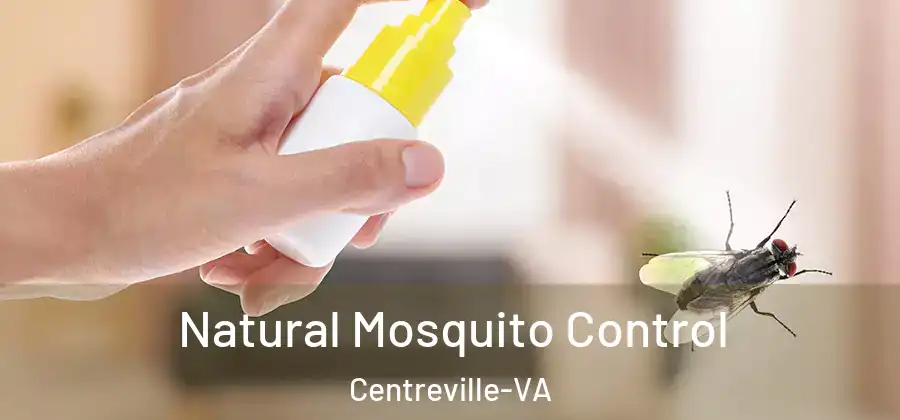  Natural Mosquito Control Centreville-VA