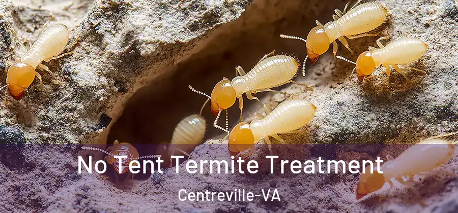  No Tent Termite Treatment Centreville-VA