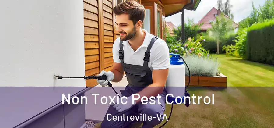  Non Toxic Pest Control Centreville-VA