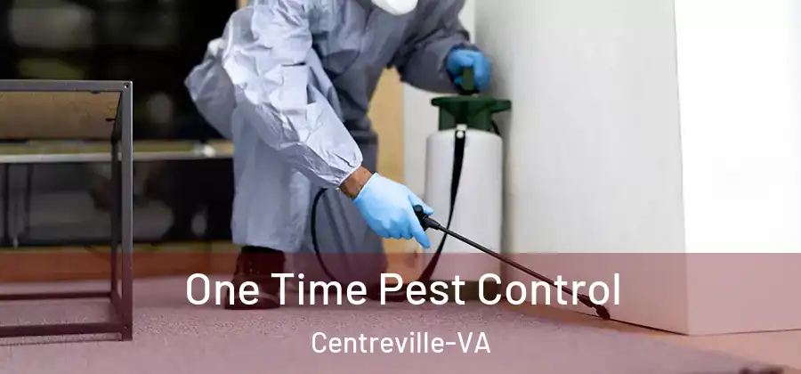  One Time Pest Control Centreville-VA