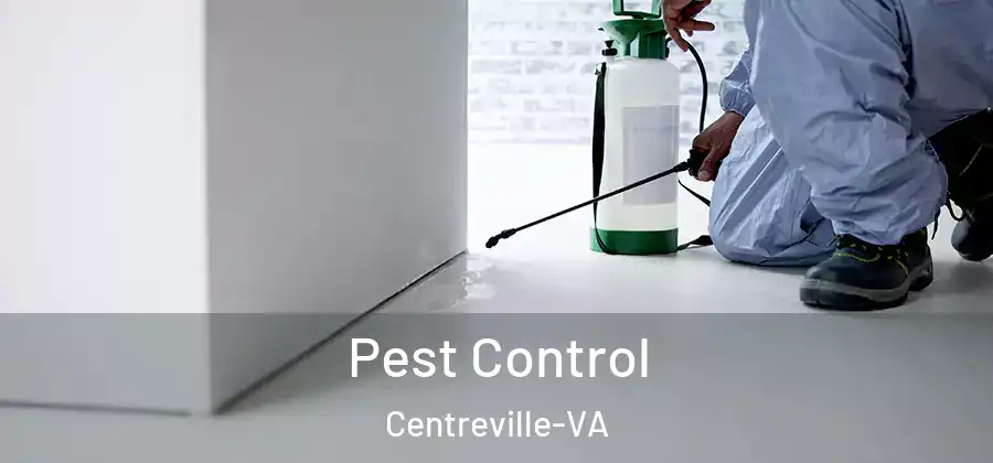  Pest Control Centreville-VA
