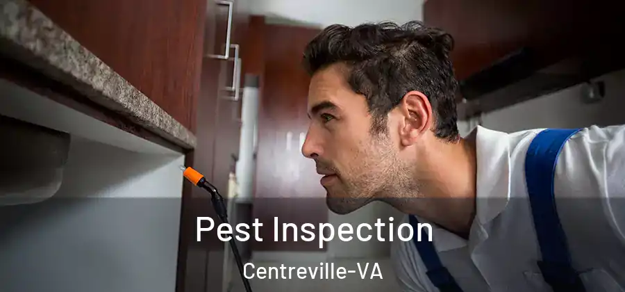  Pest Inspection Centreville-VA