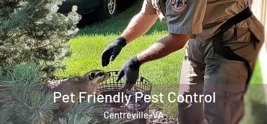  Pet Friendly Pest Control Centreville-VA