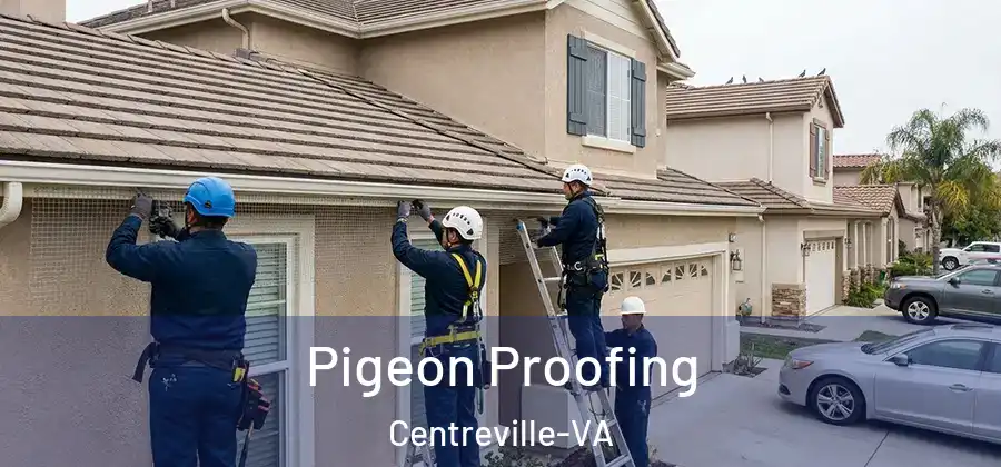  Pigeon Proofing Centreville-VA