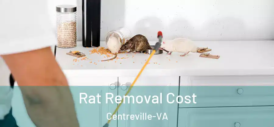  Rat Removal Cost Centreville-VA