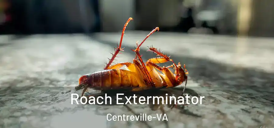Roach Exterminator Centreville-VA