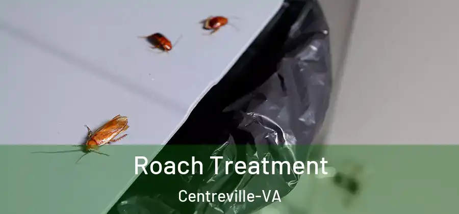  Roach Treatment Centreville-VA