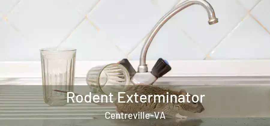  Rodent Exterminator Centreville-VA