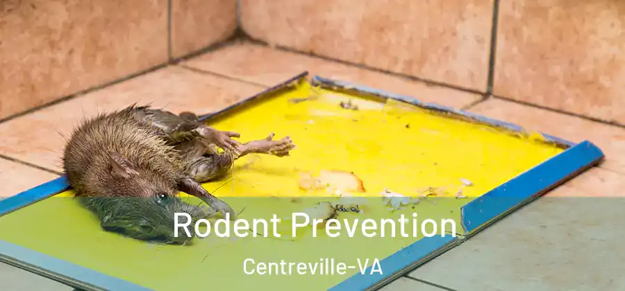  Rodent Prevention Centreville-VA