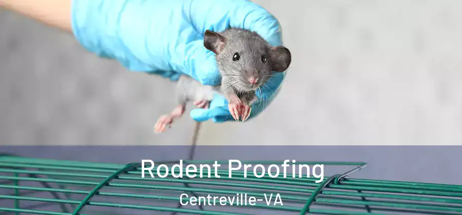  Rodent Proofing Centreville-VA