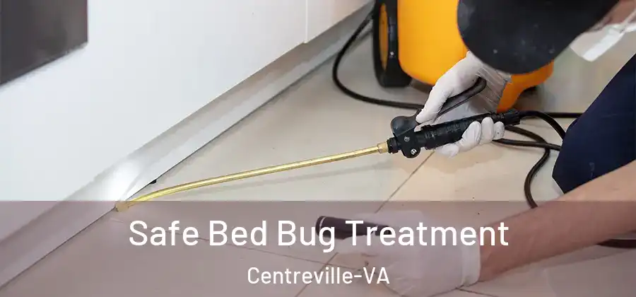  Safe Bed Bug Treatment Centreville-VA