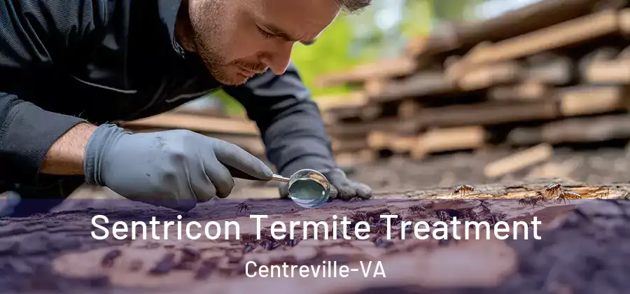  Sentricon Termite Treatment Centreville-VA
