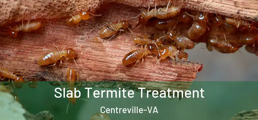 Slab Termite Treatment Centreville-VA