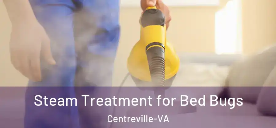 Steam Treatment for Bed Bugs Centreville-VA