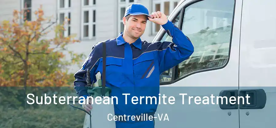  Subterranean Termite Treatment Centreville-VA