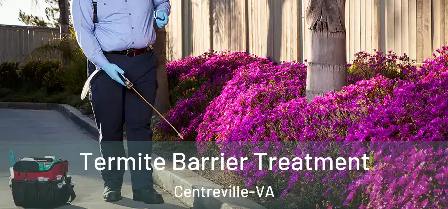 Termite Barrier Treatment Centreville-VA