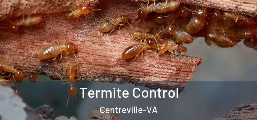  Termite Control Centreville-VA