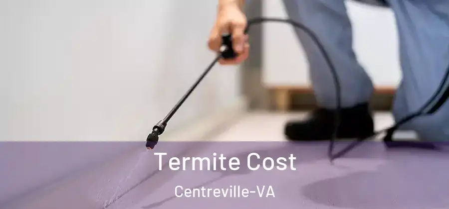  Termite Cost Centreville-VA