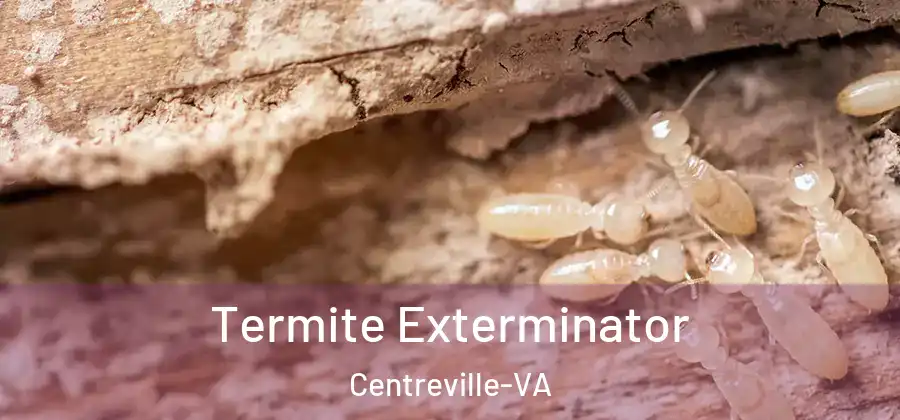  Termite Exterminator Centreville-VA