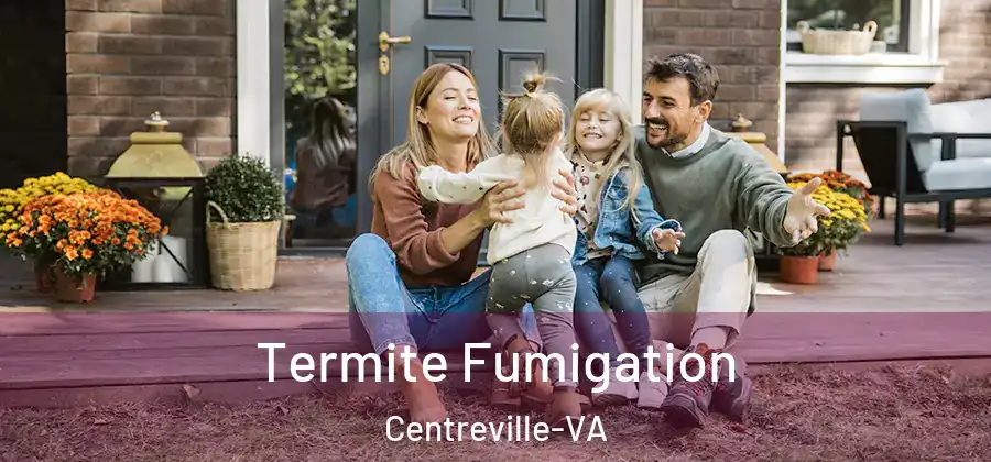  Termite Fumigation Centreville-VA