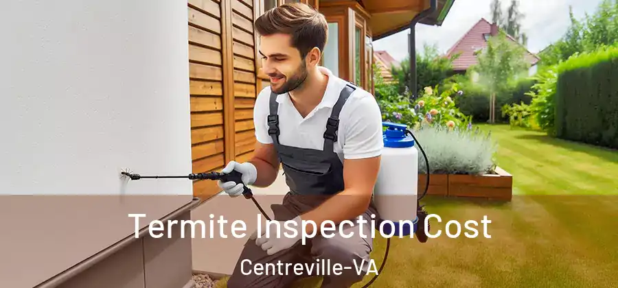  Termite Inspection Cost Centreville-VA