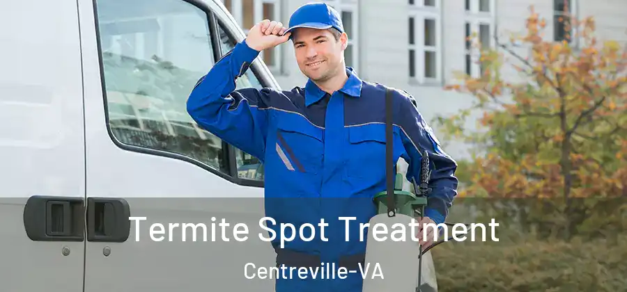 Termite Spot Treatment Centreville-VA