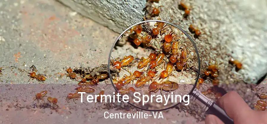  Termite Spraying Centreville-VA