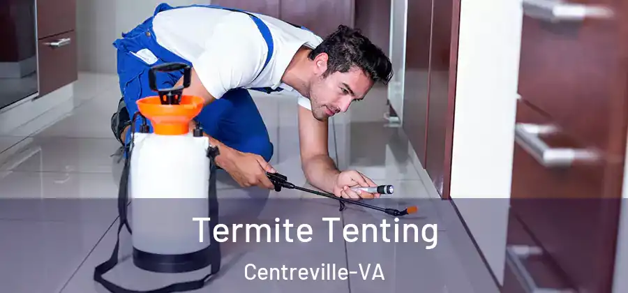  Termite Tenting Centreville-VA